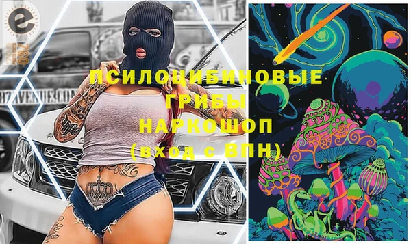 прущие грибы Балабаново