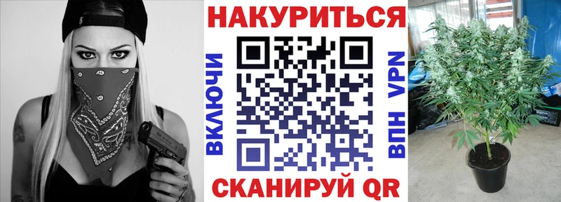 Бошки марихуана гибрид  нарко площадка как зайти  Ступино 